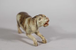 Hund
