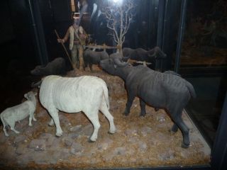 neapel_juni_2013_121
